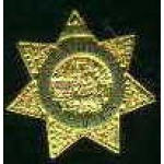 SAN DIEGO, CA COUNTY DEPUTY MARSHALL BADGE PIN
